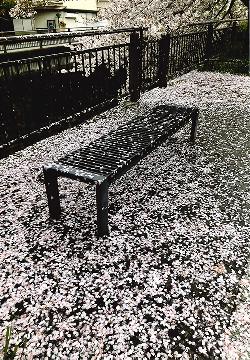 瑞商連賞「散り桜ロマン」