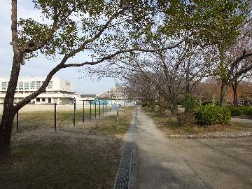 雨池公園(学校公園)