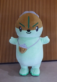 モリスちゃんの写真