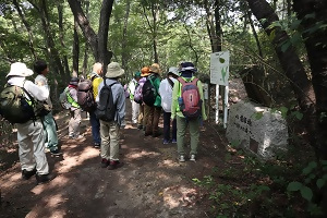 秋の八竜緑地自然観察会の様子