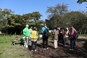 まめなしの実の観察会の様子