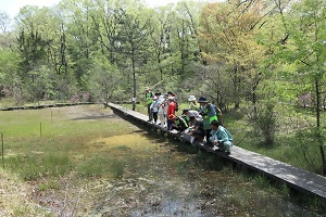 春の八竜緑地自然観察会の様子