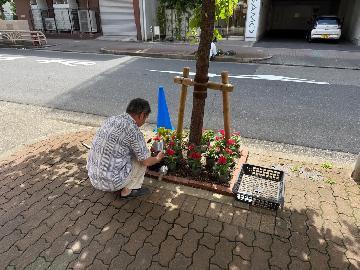 花植えの様子