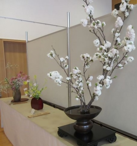 展示の様子2