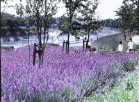 名古屋市 荒子川公園ガーデンプラザ 暮らしの情報
