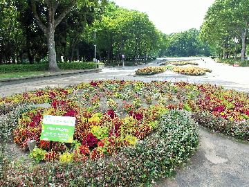 名城公園円形花壇の画像