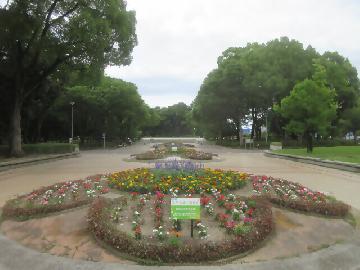 名城公園円形花壇の画像