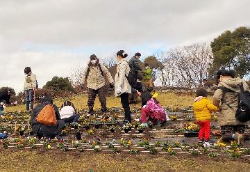 名城公園花の山の画像
