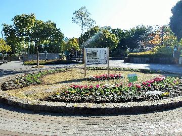 港北公園花壇の写真