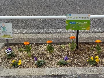 緑区内路線の写真