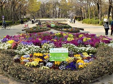 スポンサー花壇の写真