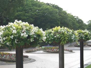 名城公園スタンディングバスケットの画像