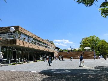 tonarinoの様子