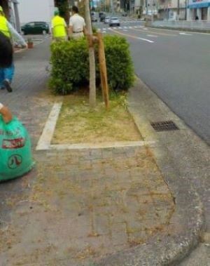 清掃後の歩道の様子
