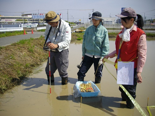 測量の様子