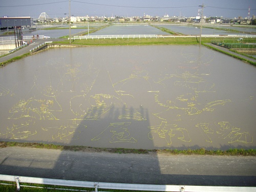 観察台から見た測量完成写真。