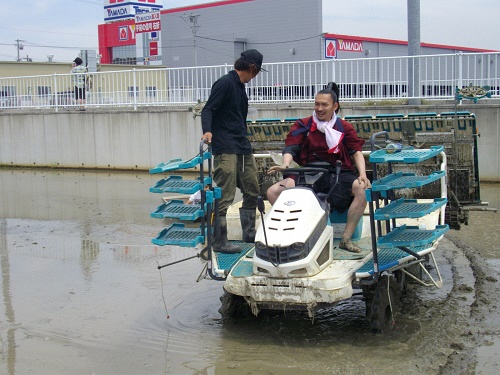 田植え機を運転する信長