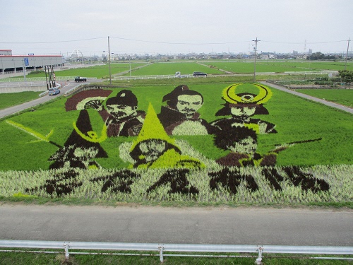 観察台から見た田んぼアート