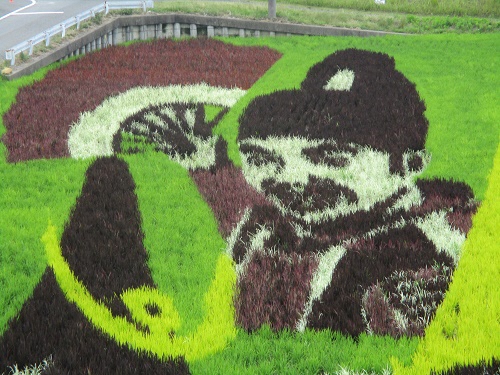 田んぼアート秀吉の部分のアップ