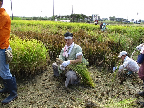 稲を束ねる前田利家
