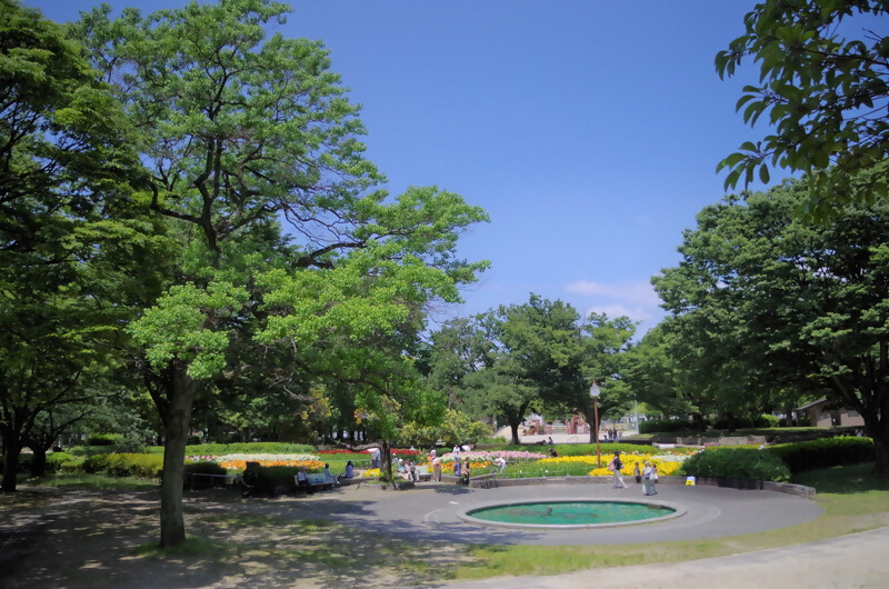 千種公園のユリの全体写真