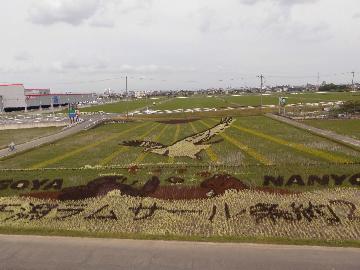 田植え1か月後