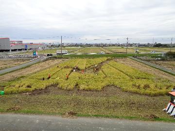 イベント開始前の田んぼ