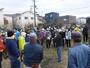参加者の皆さんが梅の畑で、農家さんからせん定の仕方について聞いている写真