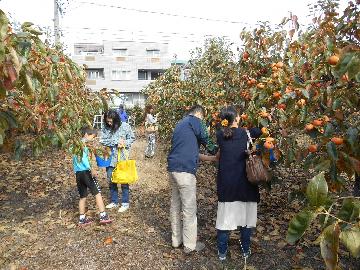 池見農園の様子