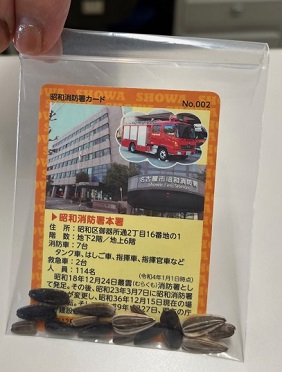 配布するひまわりの種の写真