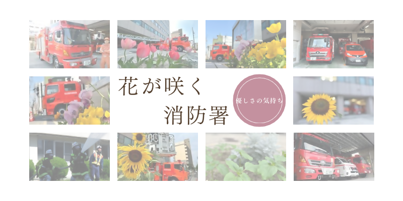 消防署に前に咲く花と消防車の写真