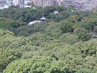 興正寺公園周辺の画像
