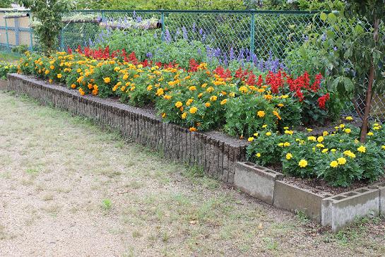 村雲会館どんぐり広場花壇の写真