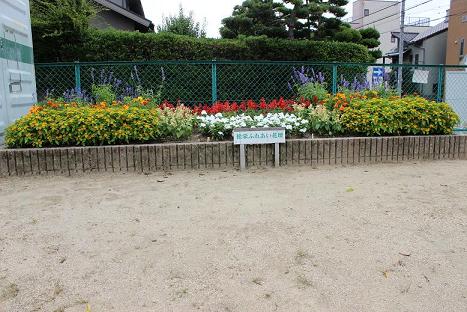 松栄ふれあい花壇の写真