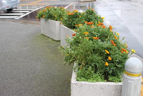 曙交差点周辺プランター花壇の写真