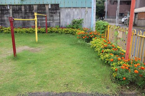 あおぞらどんぐり広場花壇の写真