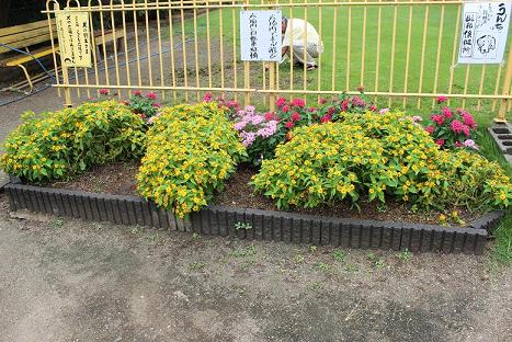 村田四どんぐり広場花壇の写真