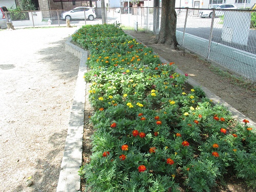 吹上ふれあい花壇花壇の写真