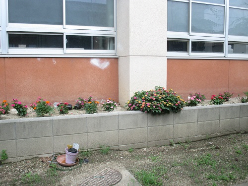 御器所小学校南側花壇の写真