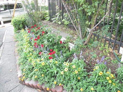 八事ガーデン花壇の写真