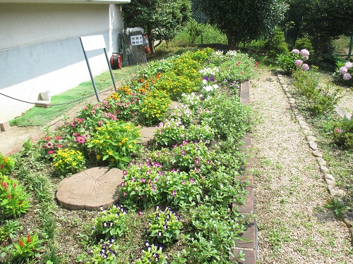 八事コミュニティセンター花壇の写真