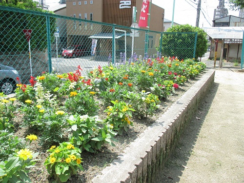 長池東どんぐり広場花壇の写真