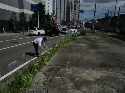 株式会社NTTデータMSE　デンソー事業本部の活動写真