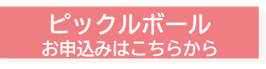 ピックルボールの申し込みフォーム