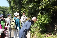 東山の森で自然観察会を行う様子