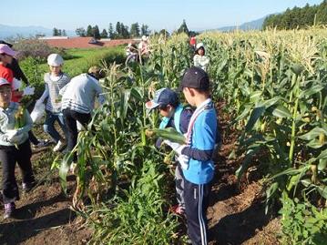 子ども会の農村体験交流の様子