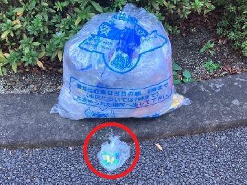写真:プラスチック資源より道路側に置くかれた電池類の袋