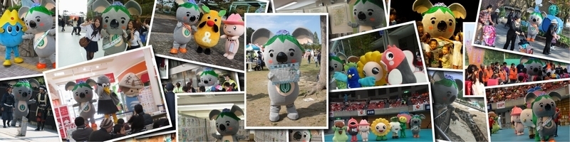 各種イベントに参加しているこあらっちの写真が重なり広がっている様子